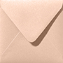 metallic blush envelop