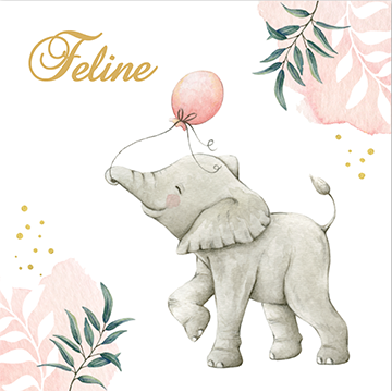 Lief geboortekaartje voor meisje met illustratie van vrolijk olifantje met een populaire meisjesnaam erop